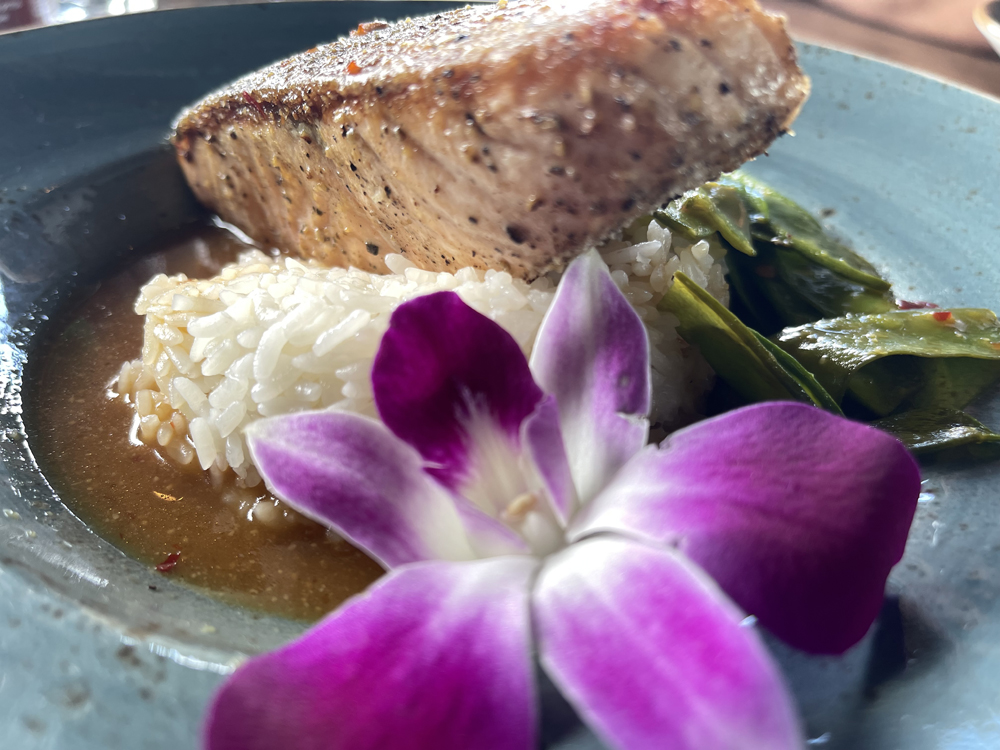 Picture of Food