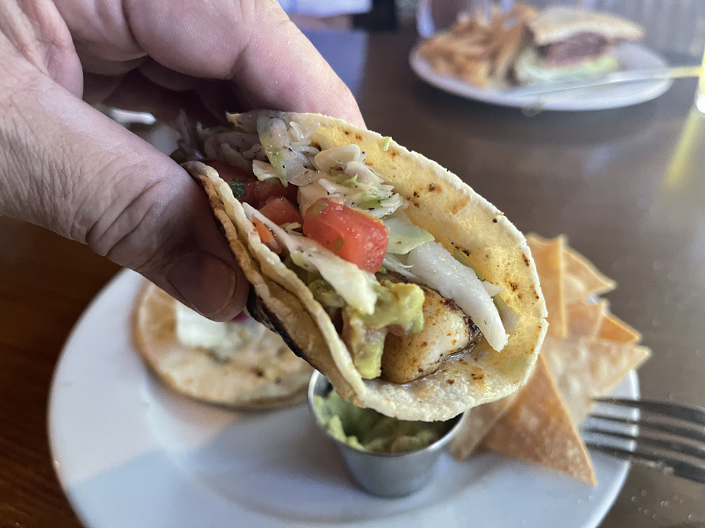 Picture of Food